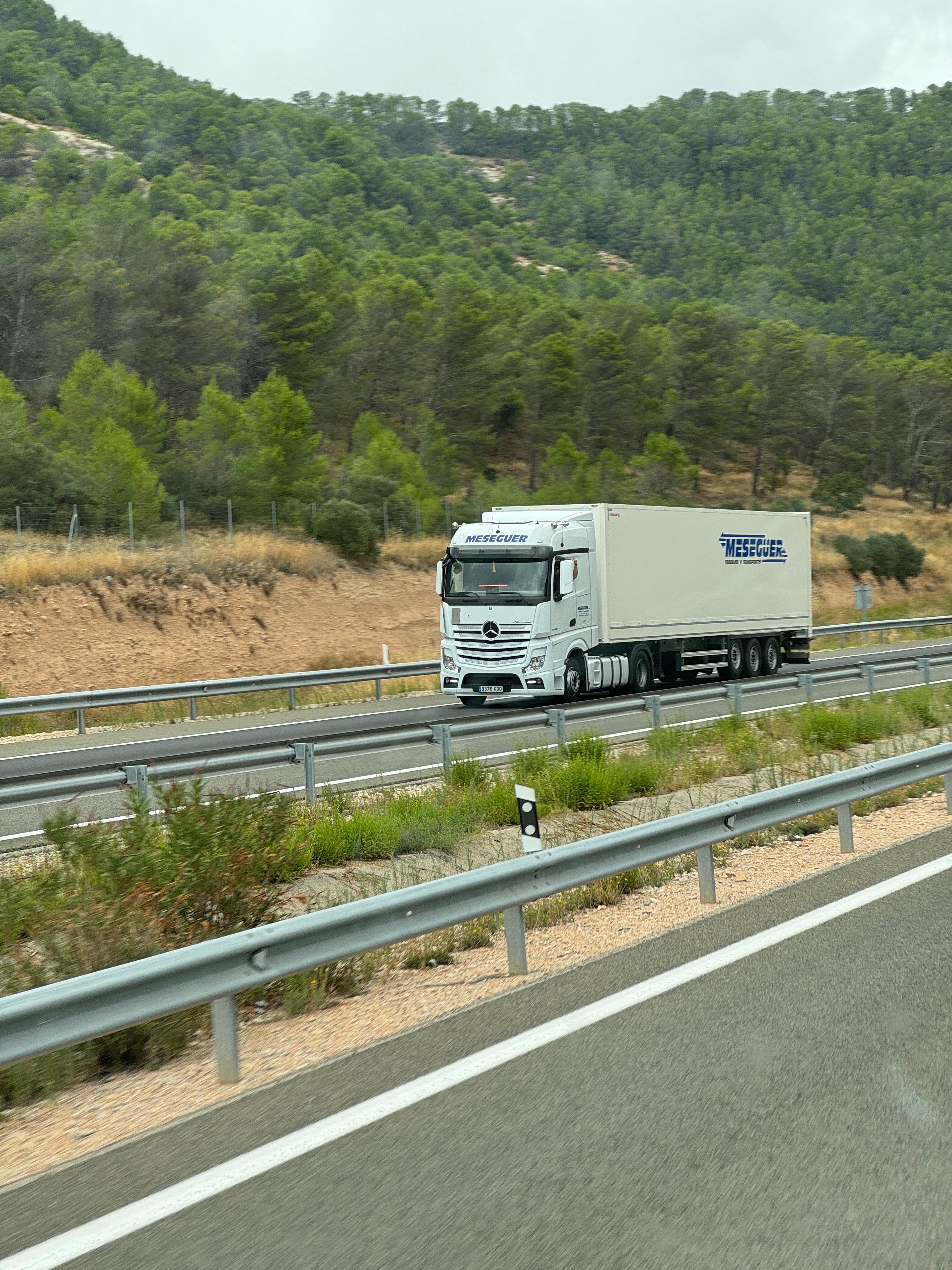 Flota Transportes Meseguer 4